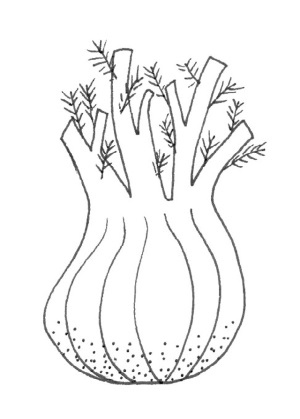 Иллюстрация к книге — Гормон – и с чем его едят. Рецепты женского здоровья [i_023.jpg]