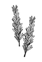 Иллюстрация к книге — Гормон – и с чем его едят. Рецепты женского здоровья [i_024.jpg]