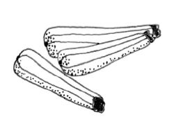 Иллюстрация к книге — Гормон – и с чем его едят. Рецепты женского здоровья [i_032.jpg]