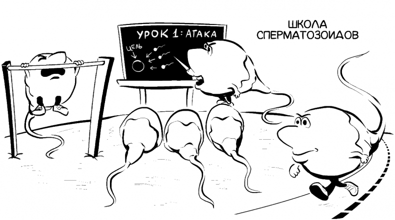 Иллюстрация к книге — Добрая книга для будущей мамы. Позитивное руководство для тех, кто хочет ребенка [i_010.jpg]