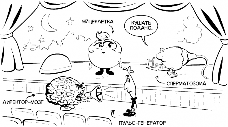 Иллюстрация к книге — Добрая книга для будущей мамы. Позитивное руководство для тех, кто хочет ребенка [i_016.jpg]