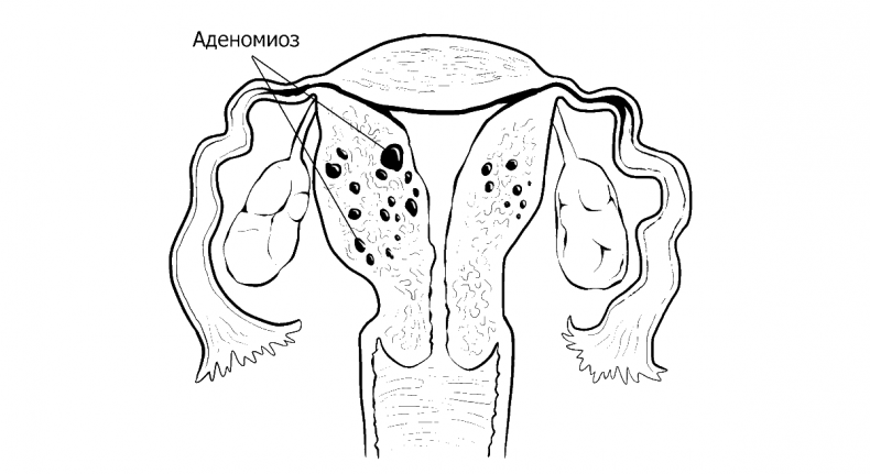 Иллюстрация к книге — Добрая книга для будущей мамы. Позитивное руководство для тех, кто хочет ребенка [i_024.jpg]