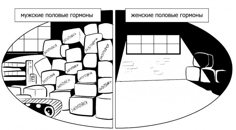 Иллюстрация к книге — Добрая книга для будущей мамы. Позитивное руководство для тех, кто хочет ребенка [i_035.jpg]