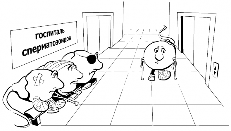 Иллюстрация к книге — Добрая книга для будущей мамы. Позитивное руководство для тех, кто хочет ребенка [i_040.jpg]