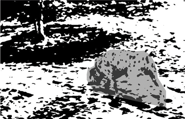 Иллюстрация к книге — Разговоры, которые меняют жизнь. Техники экспоненциального коучинга [i_003.jpg]