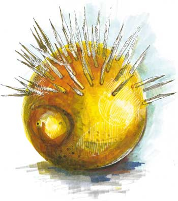 Иллюстрация к книге — BrainStorm: Ты не один. От песочницы до стадиона [i_063.jpg]