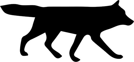 Иллюстрация к книге — Хорошие собаки до Южного полюса не добираются [i_005.jpg]