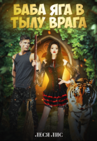 Книга Баба-Яга в тылу врага