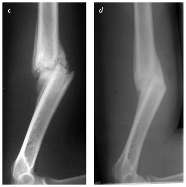 Иллюстрация к книге — Кости: внутри и снаружи [i_020.jpg]