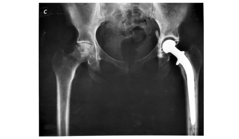 Иллюстрация к книге — Кости: внутри и снаружи [i_029.jpg]