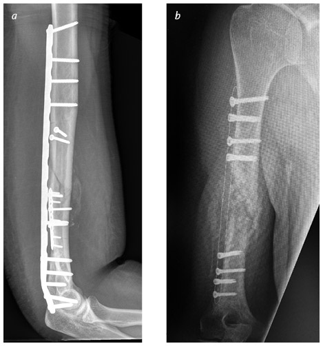 Иллюстрация к книге — Кости: внутри и снаружи [i_044.jpg]