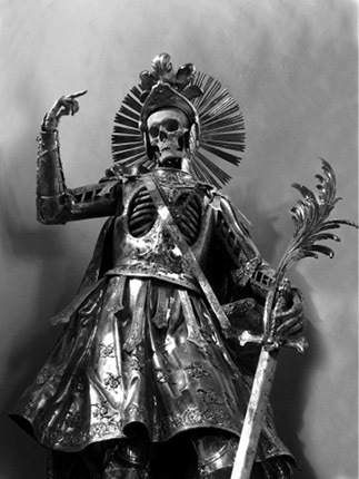 Иллюстрация к книге — Кости: внутри и снаружи [i_048.jpg]