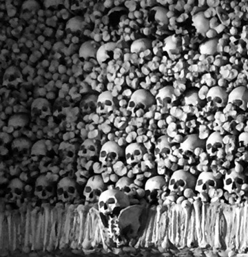 Иллюстрация к книге — Кости: внутри и снаружи [i_049.jpg]