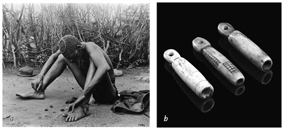 Иллюстрация к книге — Кости: внутри и снаружи [i_051.jpg]