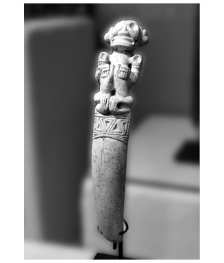 Иллюстрация к книге — Кости: внутри и снаружи [i_052.jpg]