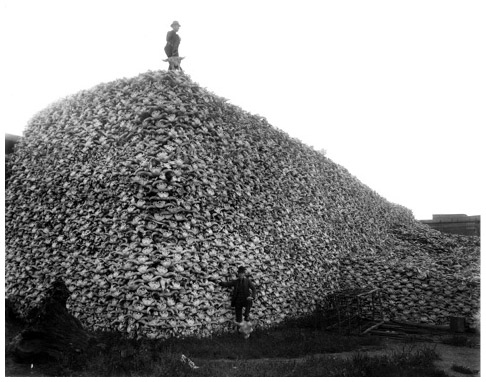 Иллюстрация к книге — Кости: внутри и снаружи [i_062.jpg]