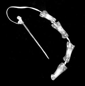 Иллюстрация к книге — Кости: внутри и снаружи [i_078.jpg]