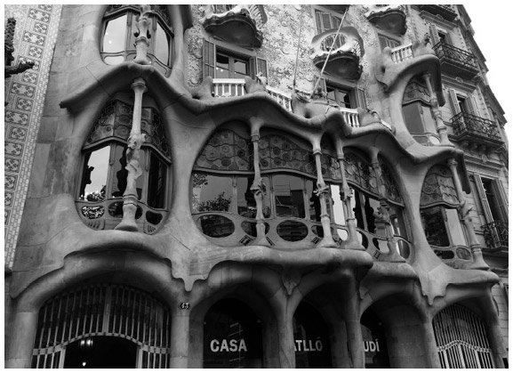 Иллюстрация к книге — Кости: внутри и снаружи [i_085.jpg]