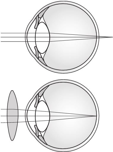 Иллюстрация к книге — История очков, или Вооруженный взгляд [i_006.jpg]