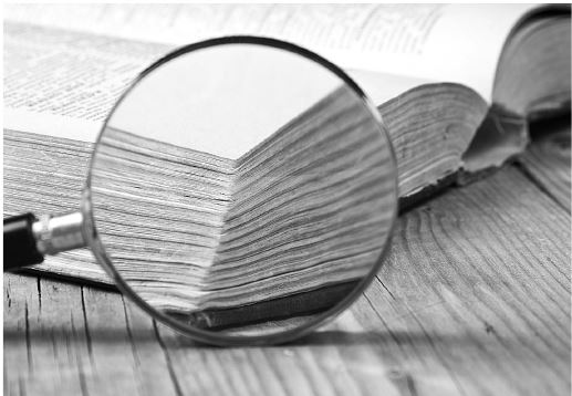 Иллюстрация к книге — История очков, или Вооруженный взгляд [i_023.jpg]