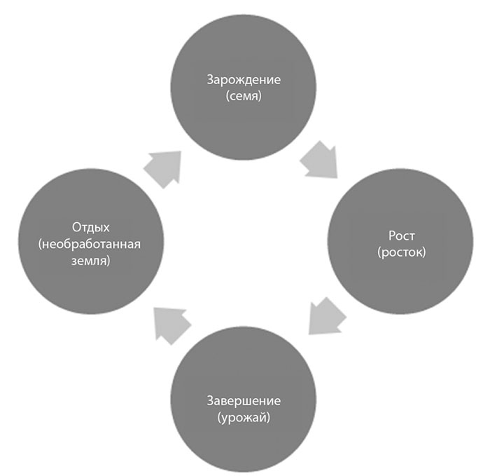 Иллюстрация к книге — В своем ритме. Уникальный метод синхронизации с циклом, который изменит вашу жизнь за 28 дней [i_004.jpg]