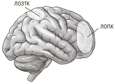 Иллюстрация к книге — Социальный вид [img_14.jpg]