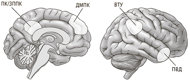 Иллюстрация к книге — Социальный вид [img_15.jpg]
