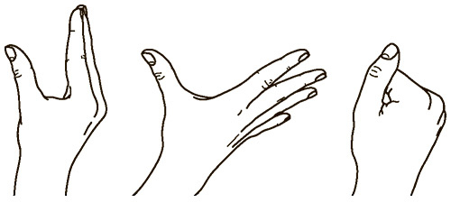 Иллюстрация к книге — Социальный вид [img_20.jpg]