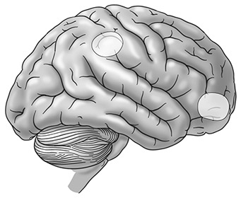 Иллюстрация к книге — Социальный вид [img_21.jpg]