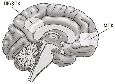Иллюстрация к книге — Социальный вид [img_22.jpg]