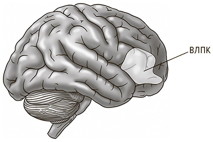 Иллюстрация к книге — Социальный вид [img_24.jpg]