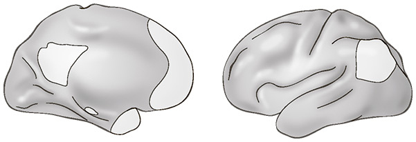 Иллюстрация к книге — Социальный вид [img_3.jpg]