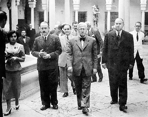 Иллюстрация к книге — Homo Viridae: человек как вирус [i_002.jpg]