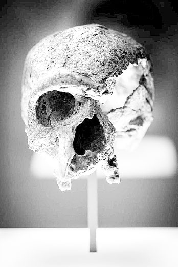 Иллюстрация к книге — Homo Viridae: человек как вирус [i_011.jpg]