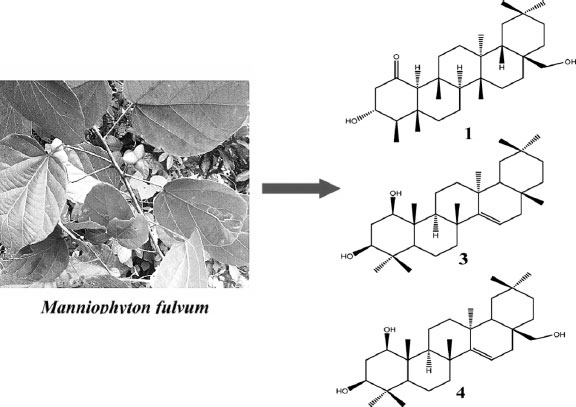 Иллюстрация к книге — Homo Viridae: человек как вирус [i_017.jpg]