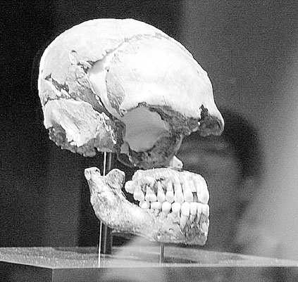 Иллюстрация к книге — Homo Viridae: человек как вирус [i_019.jpg]