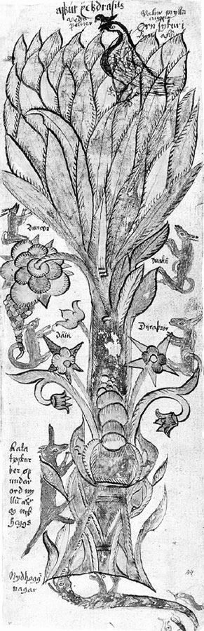 Иллюстрация к книге — Homo Viridae: человек как вирус [i_022.jpg]