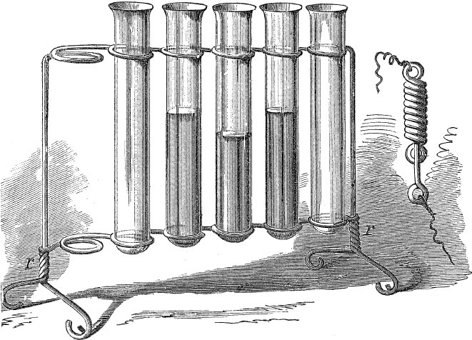 Иллюстрация к книге — Homo Viridae: человек как вирус [i_038.jpg]