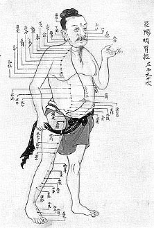 Иллюстрация к книге — Homo Viridae: человек как вирус [i_049.jpg]