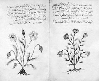 Иллюстрация к книге — Homo Viridae: человек как вирус [i_061.jpg]