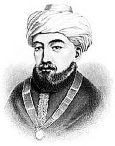 Иллюстрация к книге — Homo Viridae: человек как вирус [i_063.jpg]