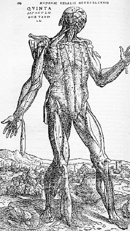 Иллюстрация к книге — Homo Viridae: человек как вирус [i_072.jpg]