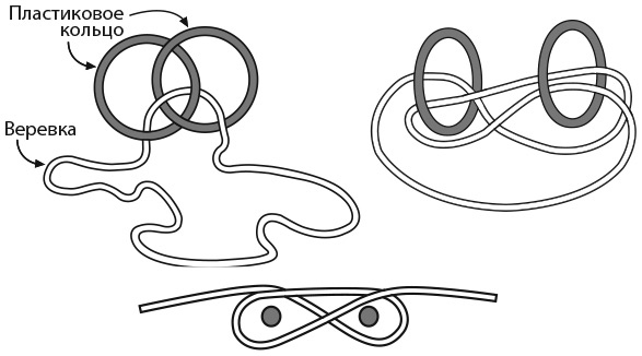 Иллюстрация к книге — Капуста, неверные мужья и зебра. Загадки и головоломки для развития критического мышления [i_199.jpg]