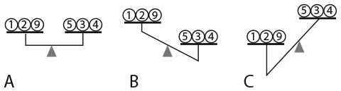 Иллюстрация к книге — Капуста, неверные мужья и зебра. Загадки и головоломки для развития критического мышления [i_231.jpg]