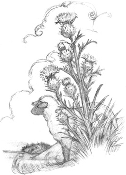 Иллюстрация к книге — Волшебство в вашем саду. Магические свойства растений и способы работы с ними [_25.jpg]