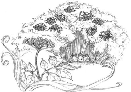 Иллюстрация к книге — Волшебство в вашем саду. Магические свойства растений и способы работы с ними [_32.jpg]