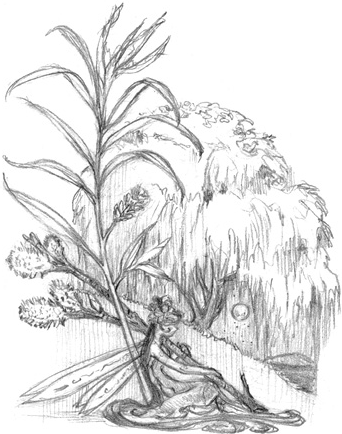 Иллюстрация к книге — Волшебство в вашем саду. Магические свойства растений и способы работы с ними [_41.jpg]