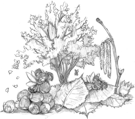 Иллюстрация к книге — Волшебство в вашем саду. Магические свойства растений и способы работы с ними [_45.jpg]