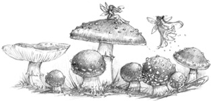 Иллюстрация к книге — Волшебство в вашем саду. Магические свойства растений и способы работы с ними [_56.jpg]