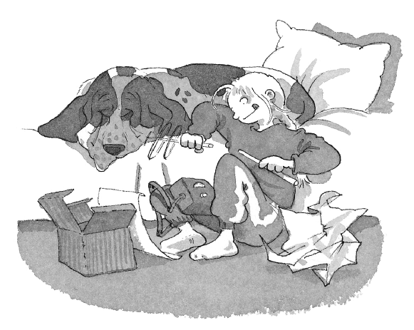 Иллюстрация к книге — Призрак старого замка [i_005.jpg]